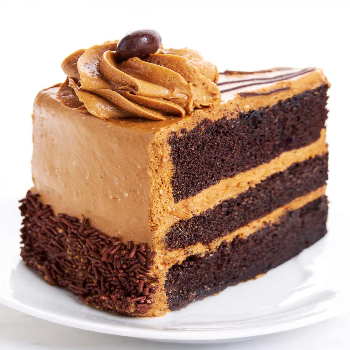 Espresso Decadence Cake Slice